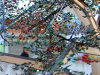 IMG 3174  Transparence