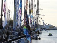 IMG 3175  Le soleil tombe sur cette bel après-midi