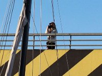 IMG 3181  Plateforme d&#39;oservation