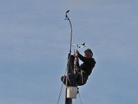 IMG 3208  Sens de l&#39;équilibre