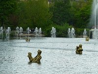 P1160498  Et cela commence.