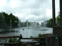 P1160500  Sur un thème musical que vous ne pouvez malheureusement pas entendre.