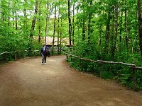 P1160509  Premier après-midi ; nous avançons dans les sous-bois.