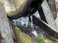 P1060399  sacré débit