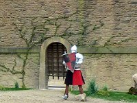 P1060269  le château est gardé