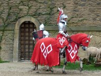 P1060271  sans peur et sans reproches