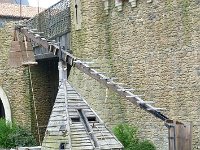 P1060304  mais ce sont des fourbes