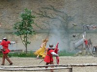 P1060306  qui vont tout faire pour piller le domaine