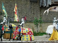 P1160582  l'arrivée des chevaliers troublent la jeune-fille