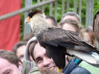 P1060649  un collègue