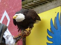 P1060682  qui se prépare