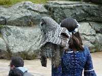 P1160475  mais attends attends il va nous parler