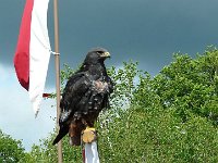 P1160478  Messieurs , Ecoutez moi......On vous souhaite tout le bonheur du monde Pour aujourd'hui comme pour demain Que votre soleil éclaicisse l'ombre Qu'il brille d'amour au quotidien