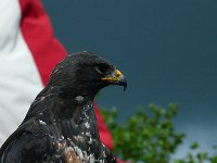 P1160481  Aucun de nous, en agissant seul, ne peut atteindre le succès.