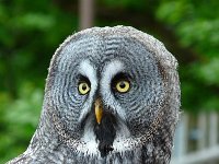 P1160482  N'interrompez jamais un ennemi qui est en train de faire une erreur.