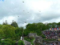 P1160488  allez on reprend