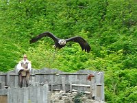 P1160725  le vol va un peu vite