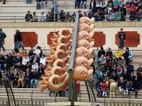 P1060433  Pour sauver leur vie, des prisonniers gaulois sont condamnés à remporter les Jeux du Cirque sous les yeux du gouverneur romain. Rien à voir avec l'objectif originel ; selon la mythologie romaine, les jeux du cirque furent institués par Romulus lorsqu'il voulut attirer à Rome les Sabines, afin de procurer des épouses à ses compagnons