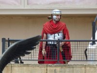 P1060437  Installez-vous dans les tribunes du Stadium Gallo-Romain et laissez vous emporter par une ambiance survoltée. C'est fou et vous verrez que la foule reste avide de spectacle et d'événements , c'est ce à quoi réfléchit surement ce romain moderne ?