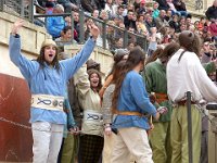 P1060439  Deux camps sont organisés , d'un coté les gaulois ; notre coté. Quelques spectateurs grimés.