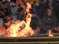 P1060495  brûlent du pixel