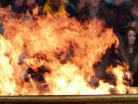 P1060496  réchauffe les coeurs