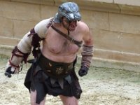 P1060510  le bougre d'animal cherche sa proie