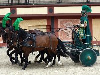 P1060524  casaque verte se présente