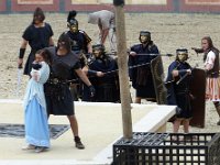 P1060552  sa rebelle