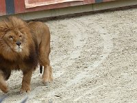 P1060559  où elle est la promise ?