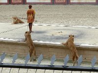 P1060577  à 5 , on saute dessus !