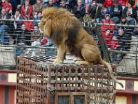 P1160651  sur le romain