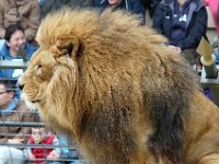 P1160653  qui est pas d'accord?