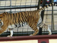 P1160666  le silence