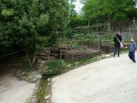 P1060607  le gentil potager et ce petit garçon que nous ne reverront plus.