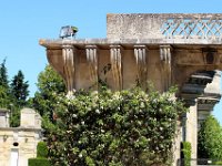 IMG 0263  le ronsard