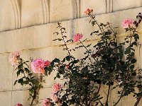 IMG 0266  adossé au portique