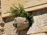 IMG 0283  un résistant