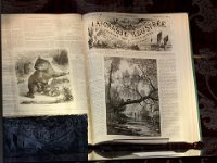 IMG 0413  il y a des chasseurs