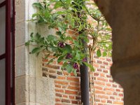 IMG 0454  les boiseries peintes