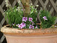 IMG 0462  dans le parc