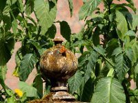 IMG 0468  les poignées