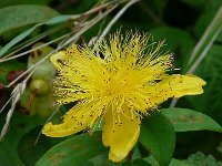 P1160908  on the road again.