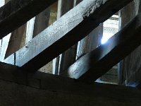 P1160969  joli bûches