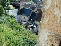 P1160987  doit être humide