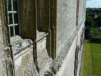 P1160996  pas le vertige la bestiole