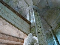 P1170026  fait avec des fossiles