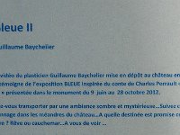 P1170040  Le prof d'art plastique de Pierre-Henri a laissé son empreinte dans le chateau