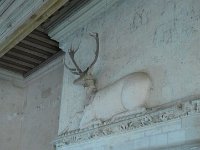 P1170044  le cerf reconstitué