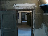 P1170380  Evidemment ce n'est pas tout jeune.